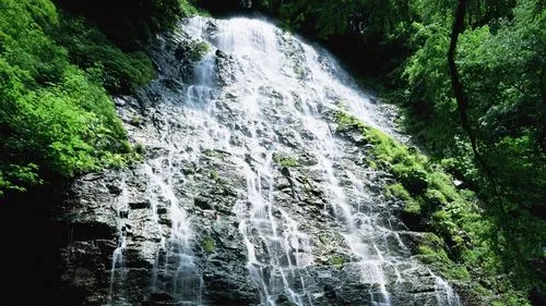 电子高端高精度